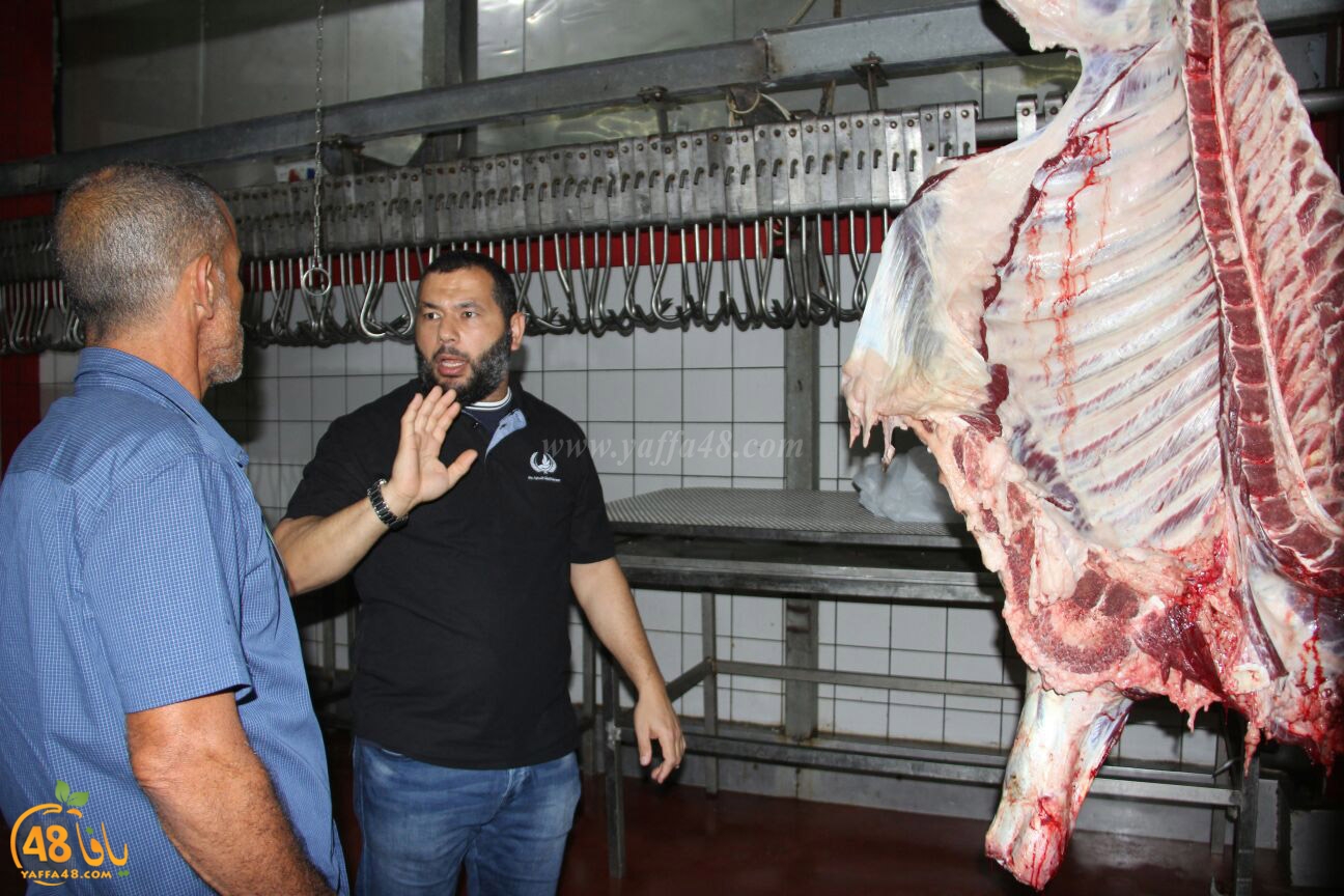 jam3iya yaffa 3ojolej (13).jpg